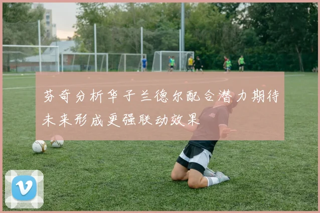 芬奇分析华子兰德尔配合潜力期待未来形成更强联动效果